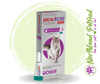 Bravecto PLUS for Large Cats - 6.25kg up to 12.5kg