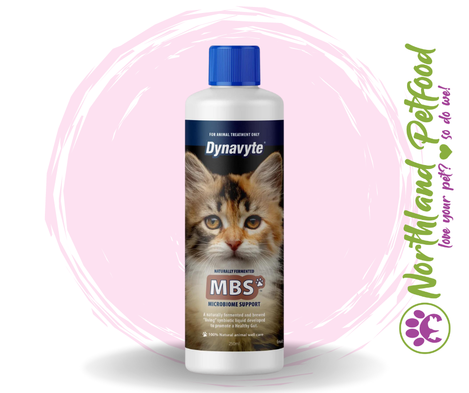 Dynavyte Clever Cat MBS - 250ml
