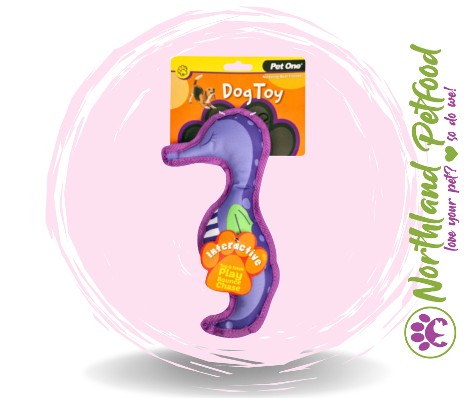 25CM Interactive Purple Squeaky Seahorse Dog Toy