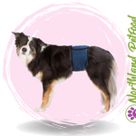 Belly Bands for Male Dogs