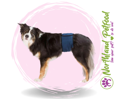 Belly Bands for Male Dogs