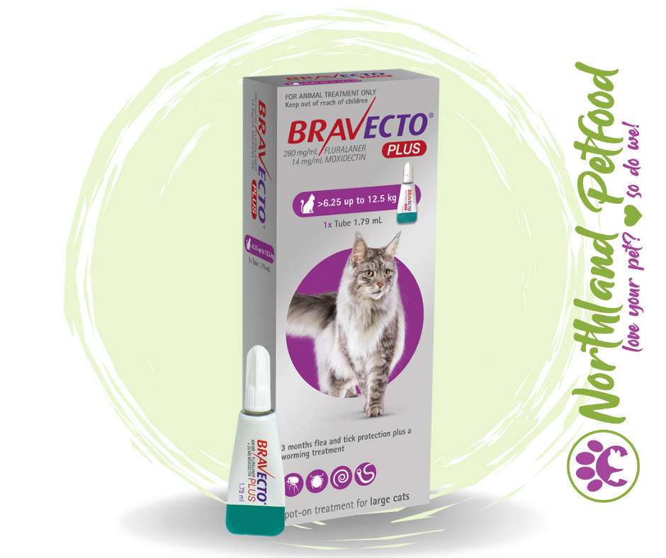 Bravecto PLUS for Large Cats - 6.25kg up to 12.5kg