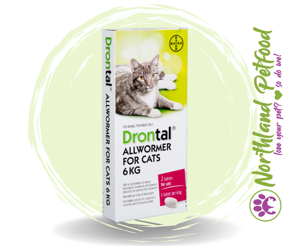 Drontal Allwormer for Cats - Up to 6kg
