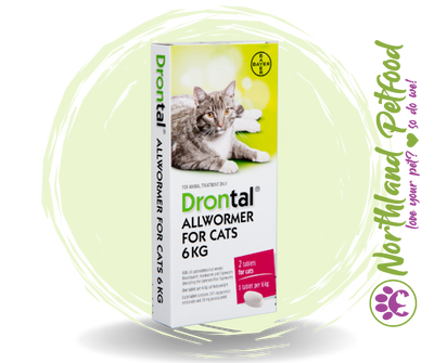 Drontal Allwormer for Cats - Up to 6kg