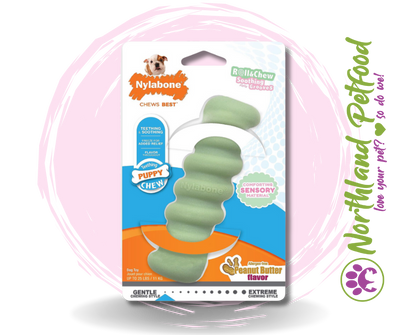 SALE 15% OFF AT CHECKOUT -- Nylabone Puppy Chew Tactile Stick - Regular
