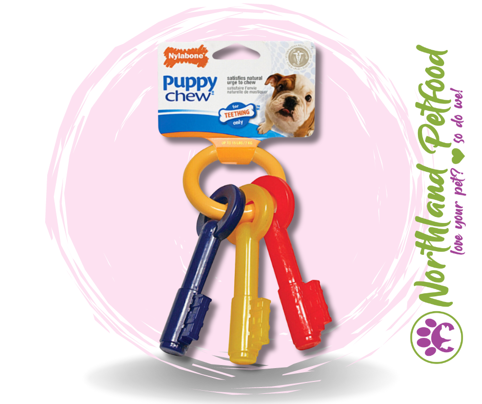 Nylabone Puppy Teething Keys