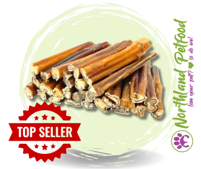 Pizzle Stick - Hard Chewers! **Best Pricing!!