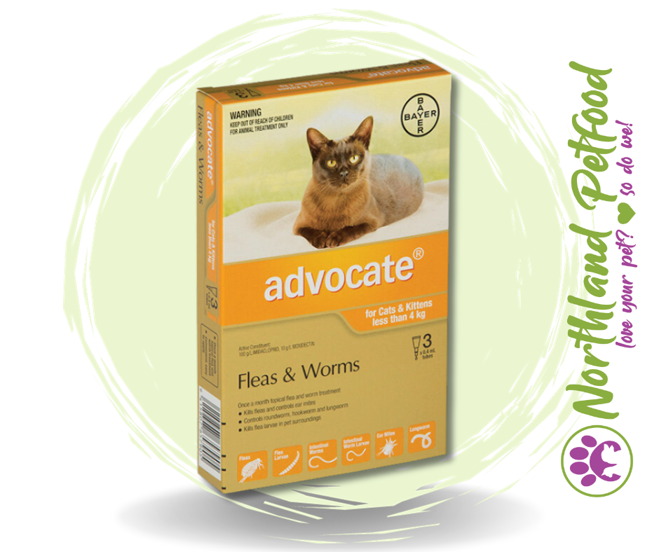 Advocate Small Cats/Kittens less than 4kg Flea and Worm Treatment - 3 Pack