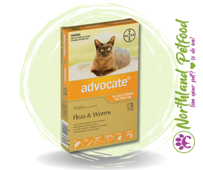 Advocate Small Cats/Kittens less than 4kg Flea and Worm Treatment - 3 Pack