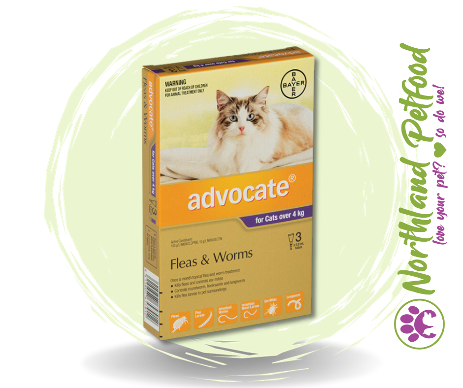 Advocate for Cats over 4kg Flea and Worm Treatment - 3 Pack
