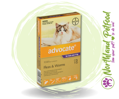 Advocate for Cats over 4kg Flea and Worm Treatment - 3 Pack