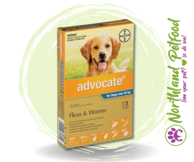 Advocate for Xtra Large Dogs 25kg+ - 3 Pack