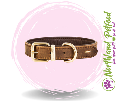 INTRODUCTORY SALE - 20% OFF -- EzyDog Oxford Leather Brown Collars
